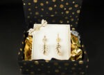 Coffret Cascade de Cauris